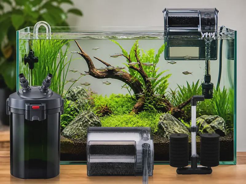 Canister vs HOB vs Sponge Filters: Which Is Best?