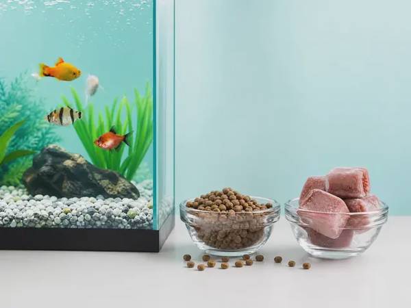 Feeding & Nutrition